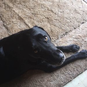 Meet your Posher, Denise